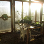 greenhouse_12